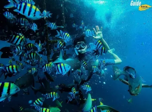 snorkeling-desa-bangsring.webp