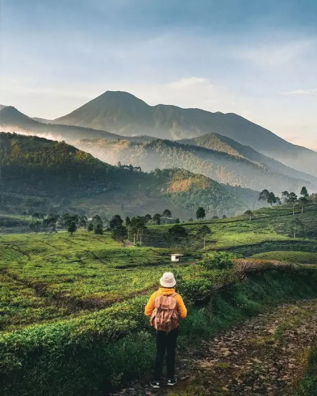 11 Tempat Wisata di Bogor Kekinian yang Bisa Kamu Jajal dalam Satu Hari!